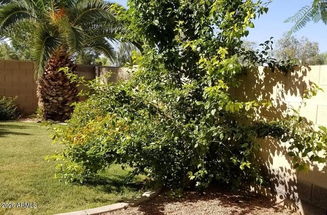 Photo - 2302 E Winged Foot Dr