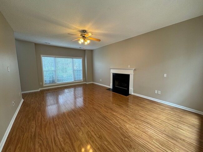 Photo - Ready to show!