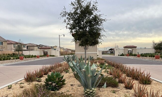 Photo - 16746 Mistletoe