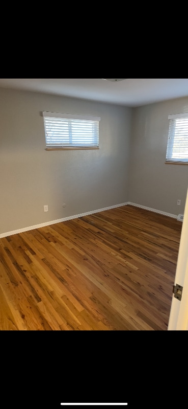 Building Photo - 1540 S Wadsworth Blvd Rental