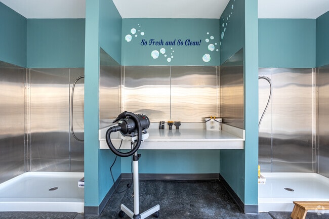Pet Spa