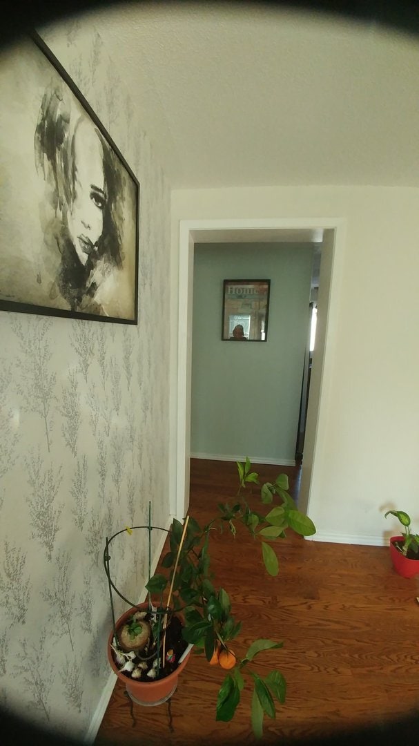 Photo - 2629 Southvale Cres