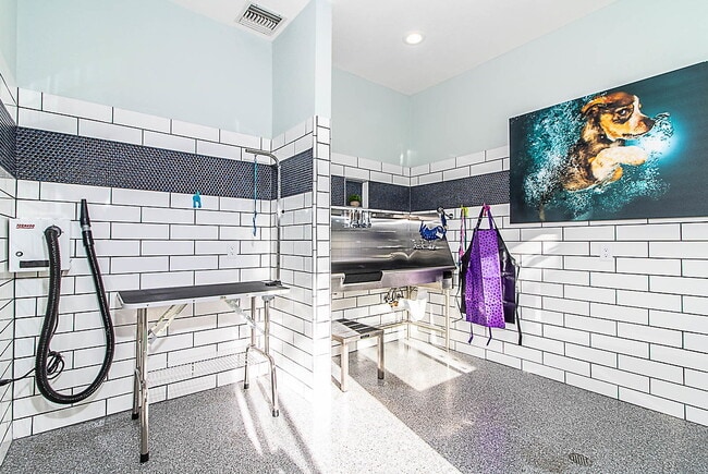 Photo - Bristol Commons