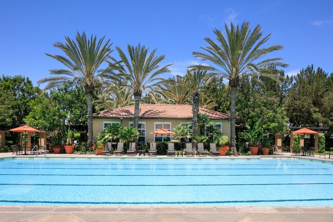 Photo - Serrano Apartment Homes