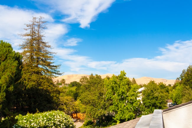 Photo - 1519 Farm Bureau Rd