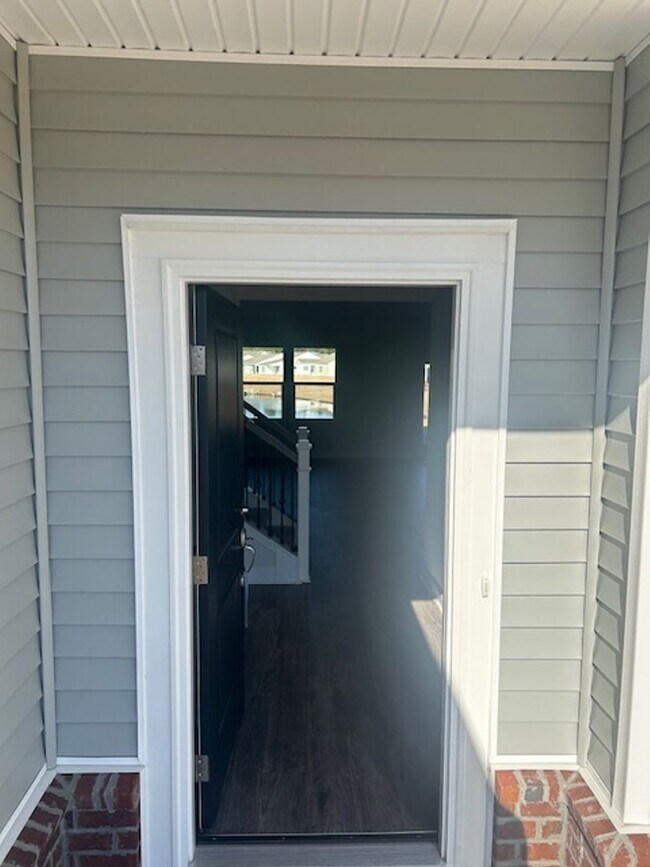 Photo - Berkshire Forest