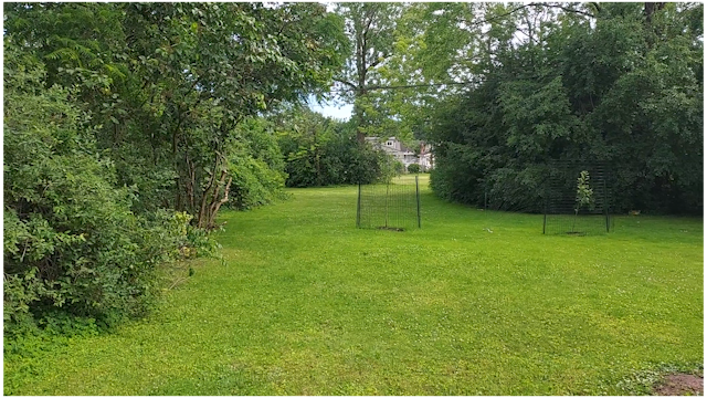 Backyard - 1145 Cleveland Dr Unit Lower Apartment - 1st Flr