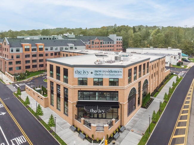 Building Photo - The Ivy Rental