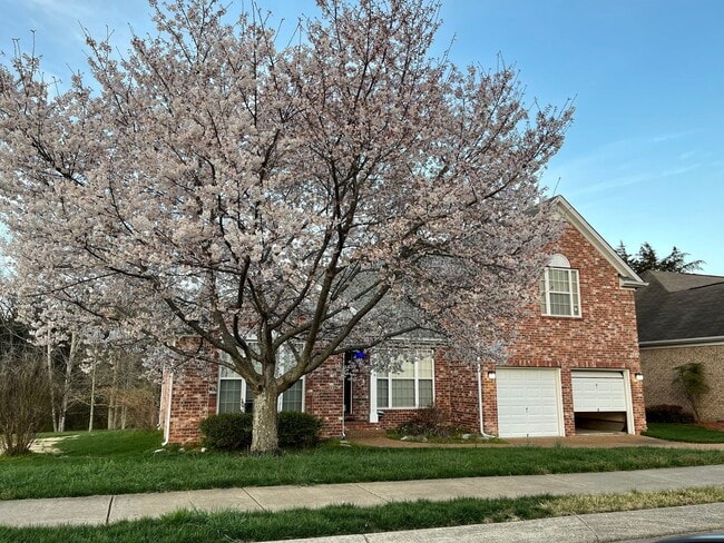 Building Photo - FOR LEASE - 4 BED 2.5 BATH SINGLE-FAMILY HOME IN MT. JULIET