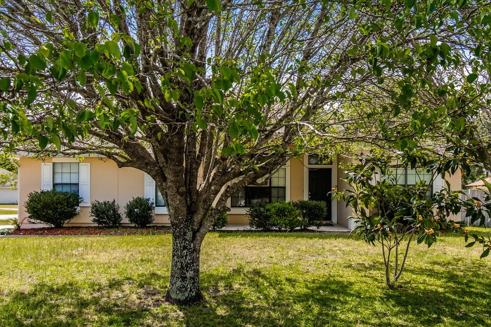 Photo - 7711 Ortega Bluff Pkwy