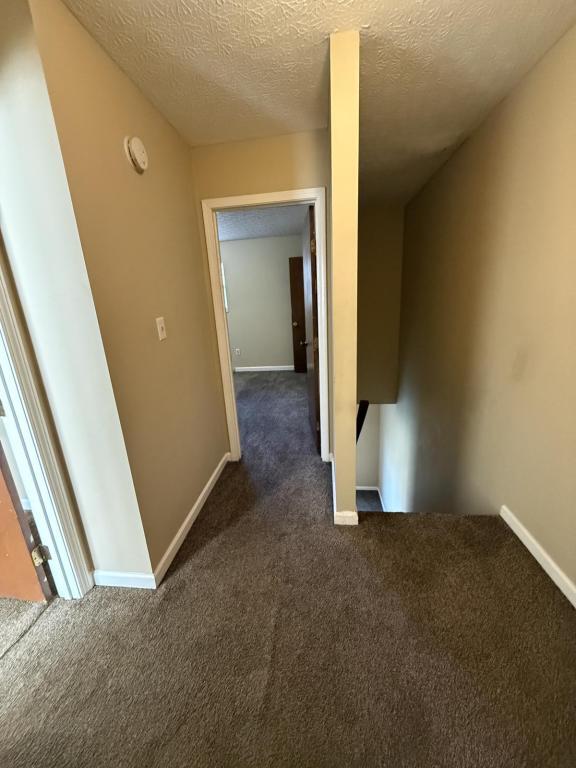 Photo - 1238 Clear Ridge Ln