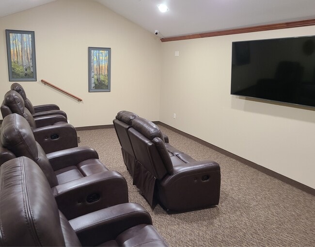 Theatre Room