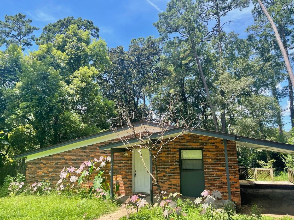 Huge Fenced Yard & All Hard Flooring - Huge Fenced Yard & All Hard Flooring
