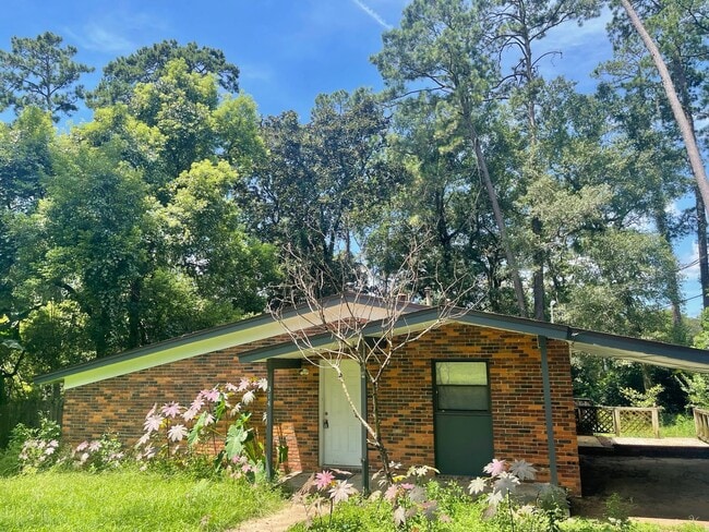 Huge Fenced Yard & All Hard Flooring - Huge Fenced Yard & All Hard Flooring House