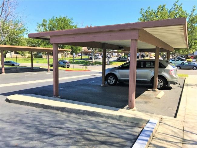 Photo - 10945 Summerdale Way