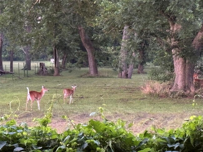 Building Photo - 2011 Miller Rd Unit B