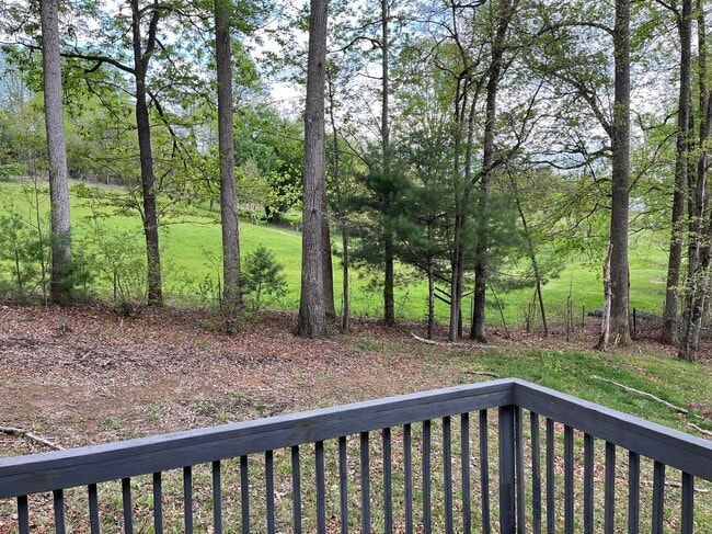 Photo - 46 Badger Run