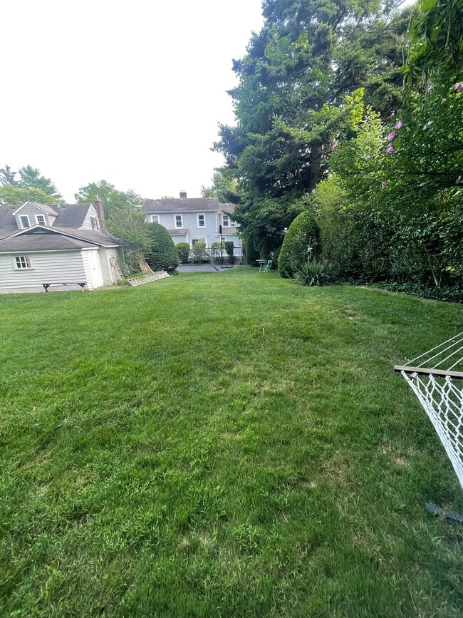backyard - 897 Springfield Ave Unit 1st floor