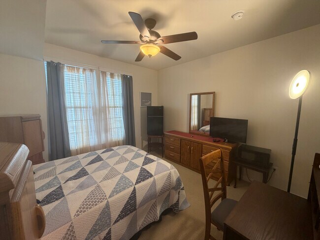 Photo - 25989 Braided Mane Ter