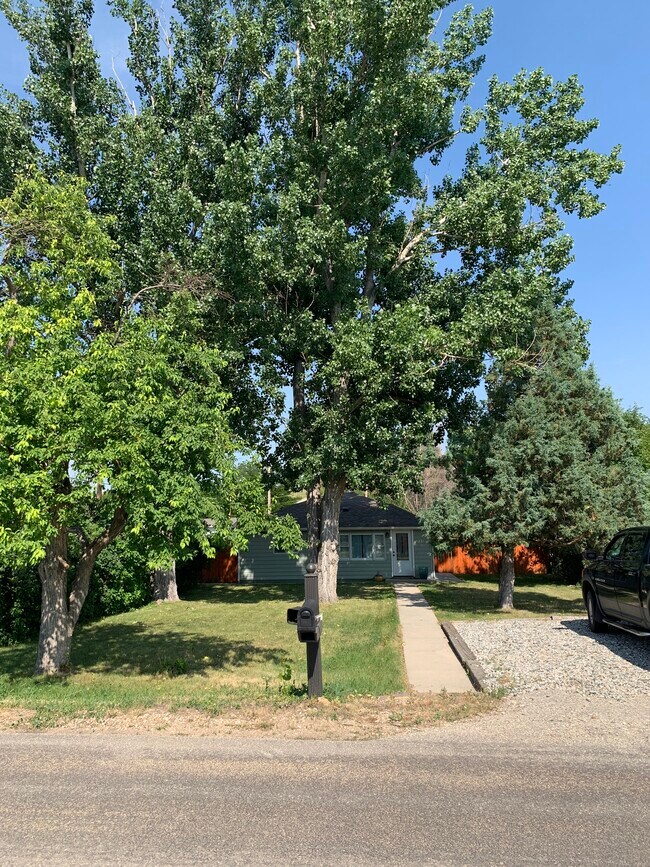 Mature Trees and Large Lawn! - 231 S Water St