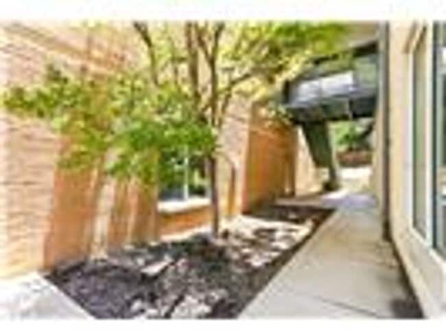 Photo - 1617 W Oleander St Unit 1617 W Oleander St #225