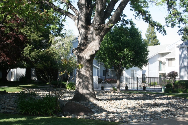 Springview Oaks Apartments