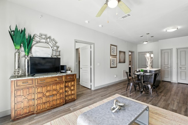 Photo - Anatole at the Pines