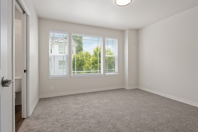 Pine Street Townhomes