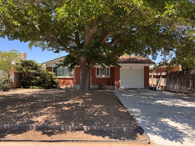 Building Photo - Beautiful 3 bedroom 2 bath home.