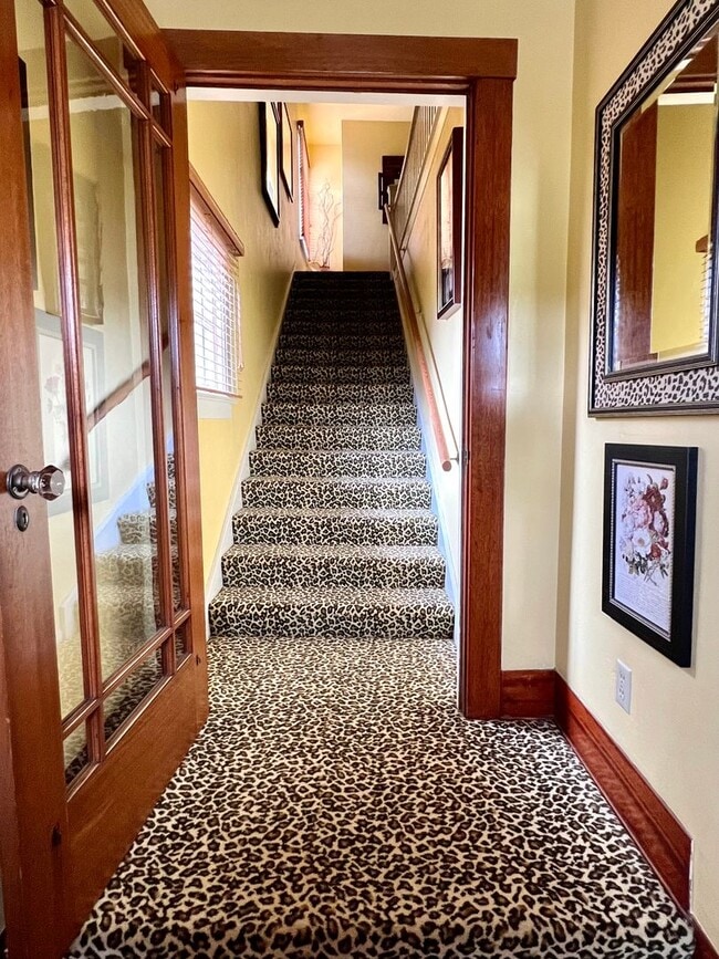 Photo - JM Unidad 189CC