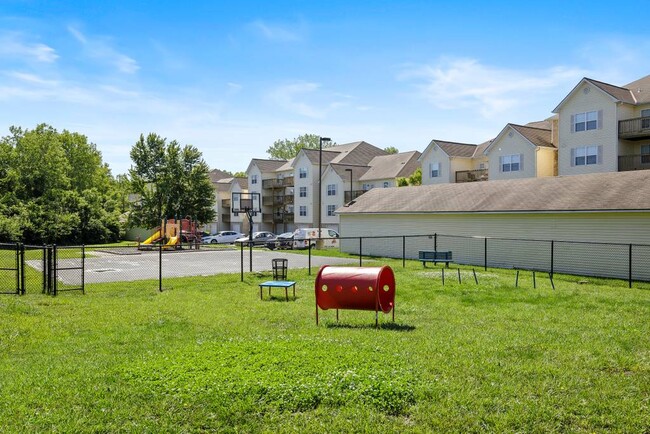 Off-leash Dog Park