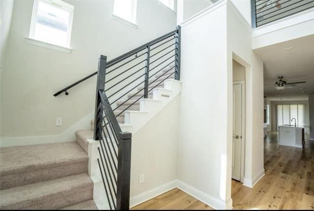 Photo - 10950 Downy Cup Dr