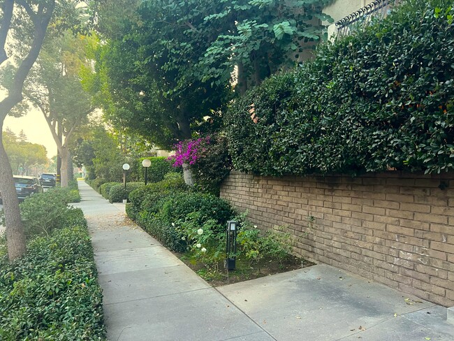 Building Photo - 439 S Catalina Ave Unit 101 Rental