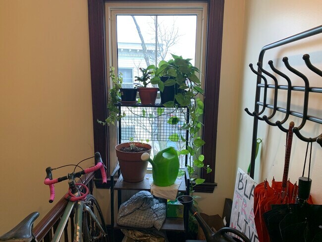 Photo - 331 Faneuil St Unit 3