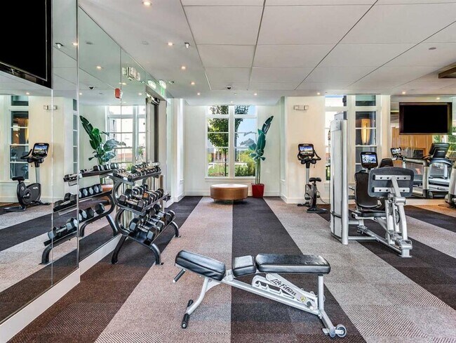 Photo - Lerner Windmill Parc