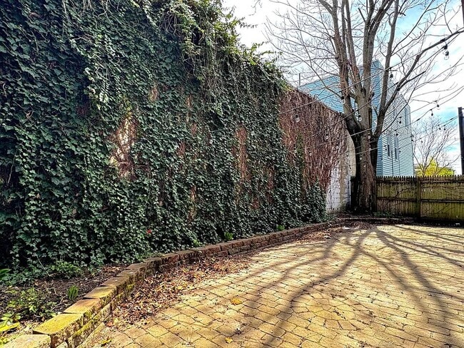 Outdoor Yard - 22 Pembroke St Unit 22 Pembroke St  1