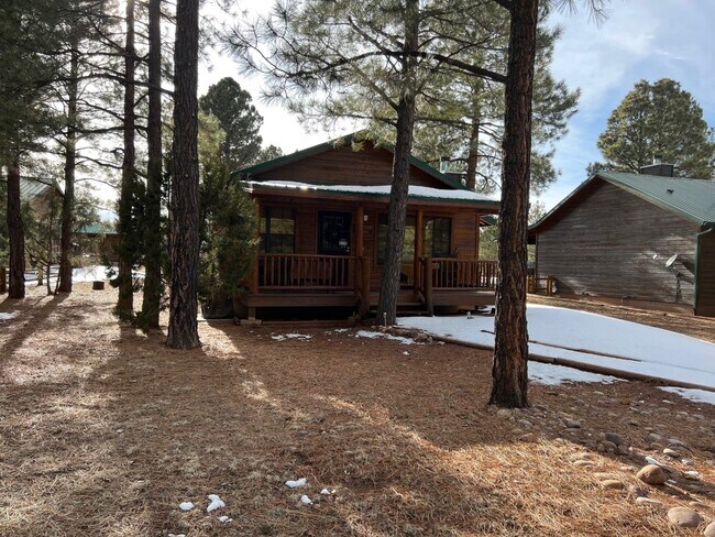 2689 Palomino Trail