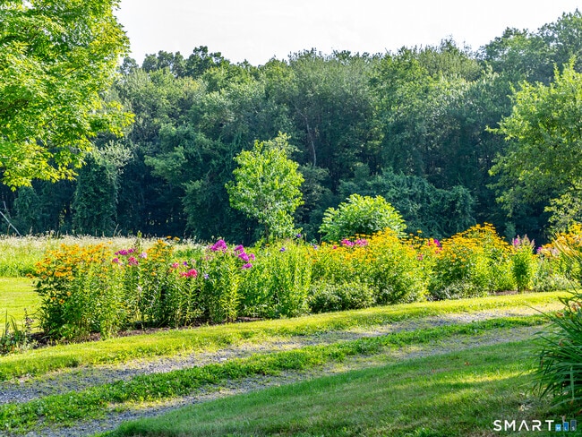 Photo - 103 Litchfield Rd