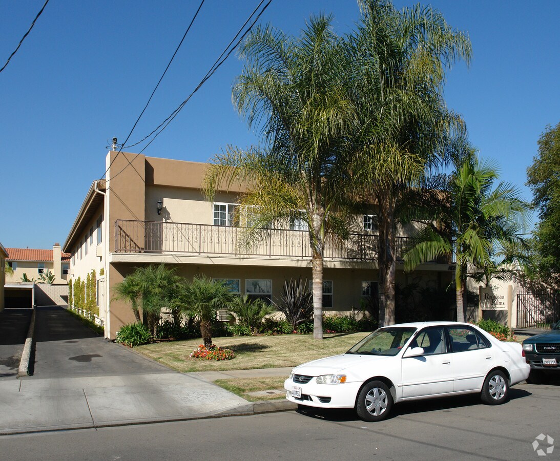 Photo - Rondeau palms