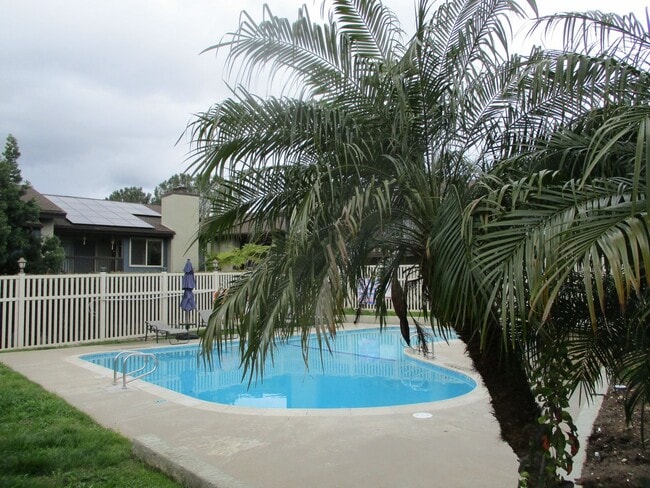 Building Photo - Mission Valley Newly Remodeled 2 Bdr 2 Bat... Unit 4 Rental