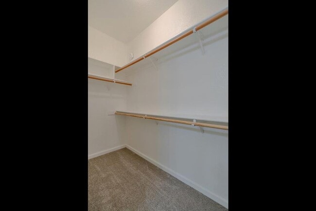Armario del dormitorio principal - 509 Mace Blvd