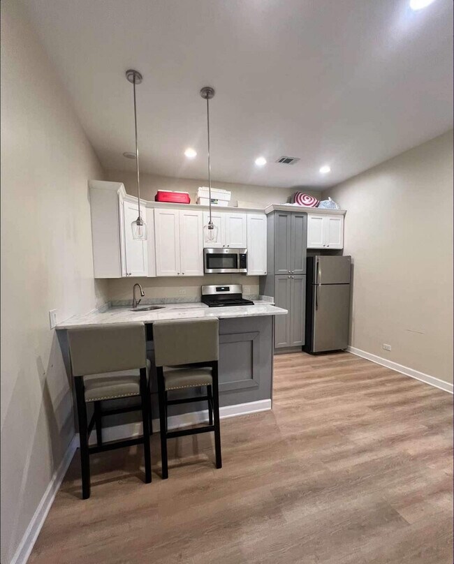 Photo - 1834 S Blue Island Ave Unit 3