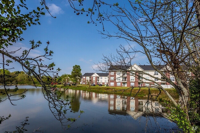 Building Photo - Village Square of Hot Springs