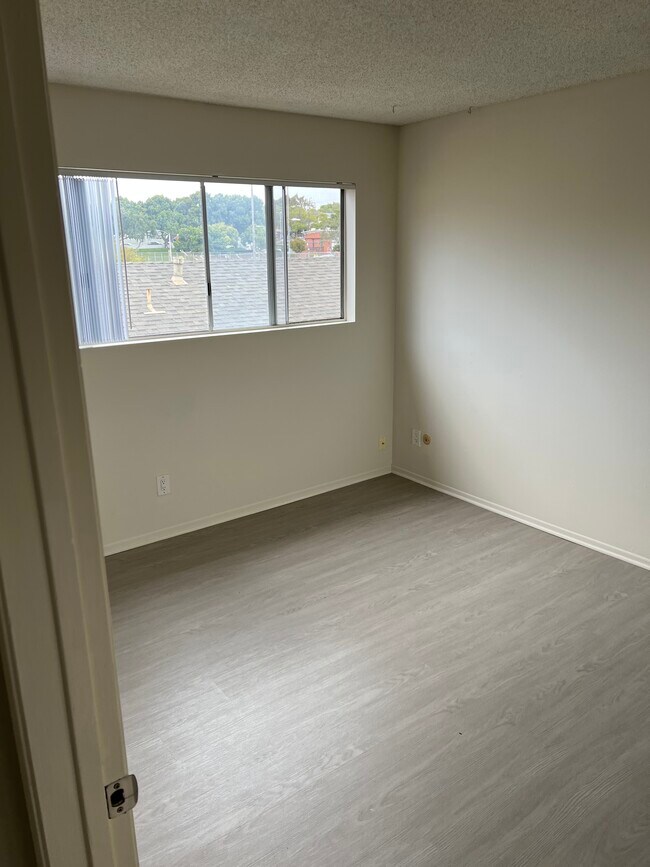 Photo - Sherman: 331 Eucalyptus