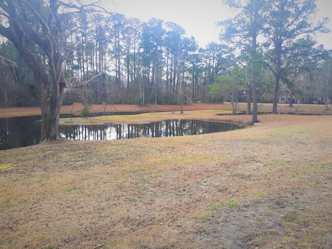 804 Gull Ln