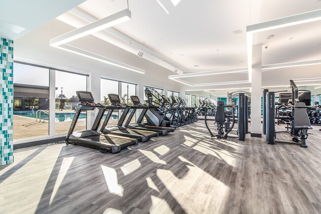 Photo - Mylo Santa Clara