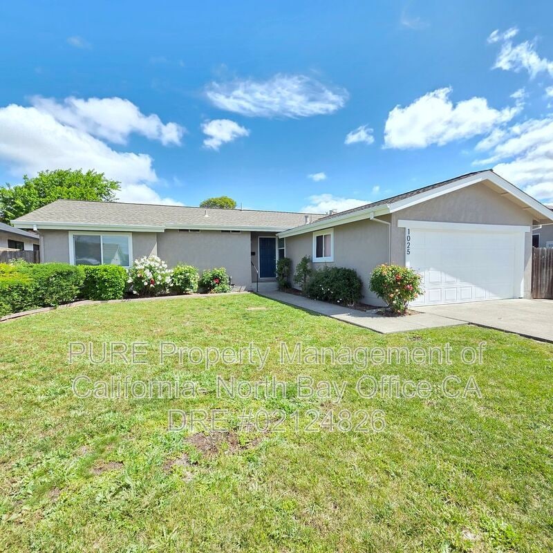 Photo - 1025 Palmetto Way