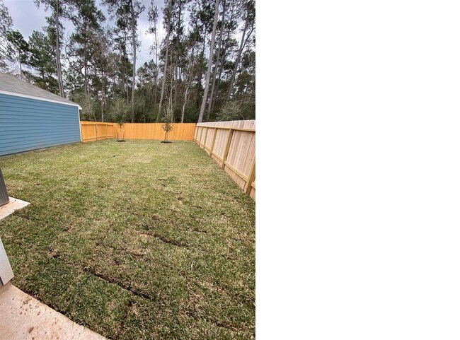 Backyard view - 149 Camelot Place Ct