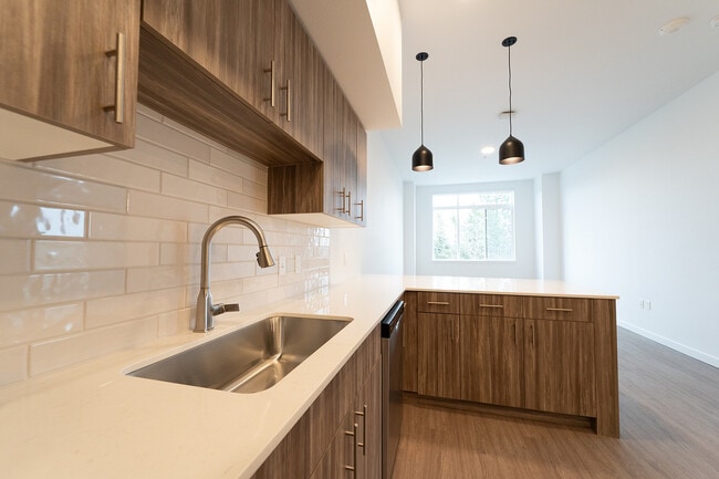 Orrin Kitchen Closeup