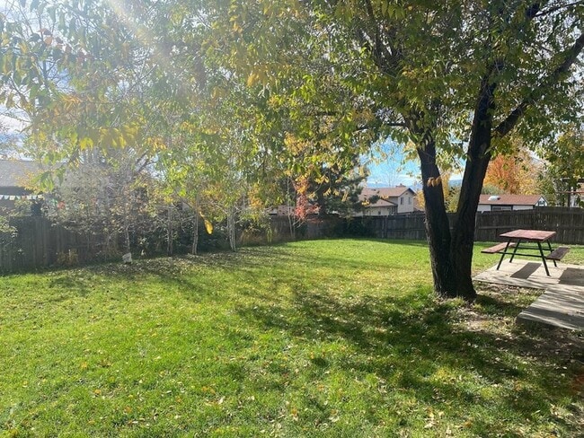 Photo - 538 Heather Rd
